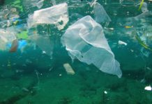 #Stopmicrofibre, la campagna di Marevivo contro l?inquinamento