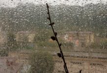 La primavera anticipata sta per finire, da mercoledì tornano piogge e freddo